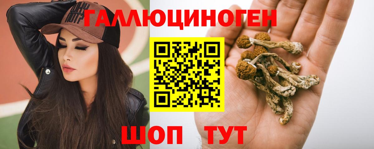 Галлюциногенные грибы Psilocybe Каменка